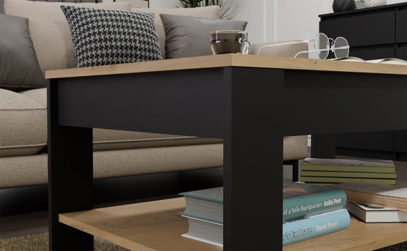 Konferenční stolek Ison dub artisan/černá