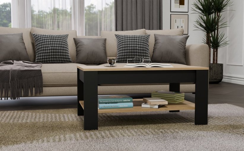 Konferenční stolek Ison dub artisan/černá