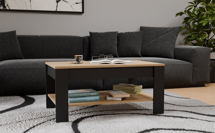 Konferenční stolek Ison dub artisan/černá