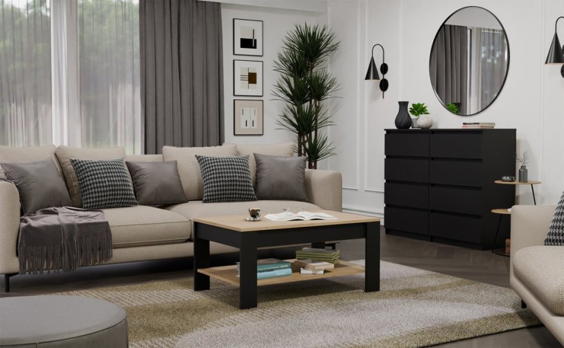 Konferenční stolek Ison dub artisan/černá