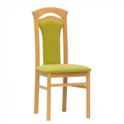 Jídelní židle ERIKA čalouněná - výběr z odstínů